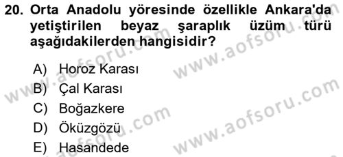 İçecek Bilgisi Dersi 2024 - 2025 Yılı Yaz Okulu Sınav Soruları 20. Soru
