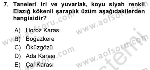 İçecek Bilgisi Dersi 2024 - 2025 Yılı Yaz Okulu Sınav Soruları 7. Soru