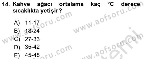 İçecek Bilgisi Dersi 2025 - 2026 Yılı (Vize) Ara Sınav Soruları 14. Soru