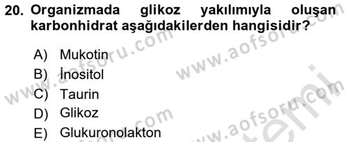 İçecek Bilgisi Dersi 2025 - 2026 Yılı (Vize) Ara Sınav Soruları 20. Soru