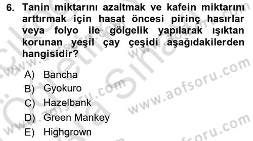 İçecek Bilgisi Dersi 2025 - 2026 Yılı (Vize) Ara Sınav Soruları 6. Soru