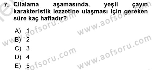 İçecek Bilgisi Dersi 2025 - 2026 Yılı (Vize) Ara Sınav Soruları 7. Soru
