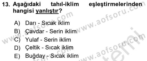 İçecek Bilgisi Dersi 2025 - 2026 Yılı (Final) Dönem Sonu Sınav Soruları 13. Soru