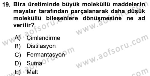 İçecek Bilgisi Dersi 2025 - 2026 Yılı (Final) Dönem Sonu Sınav Soruları 19. Soru
