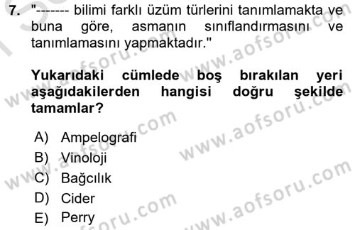 İçecek Bilgisi Dersi 2025 - 2026 Yılı (Final) Dönem Sonu Sınav Soruları 7. Soru