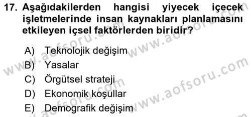 Yiyecek Ve İçecek İşletmeciliği Dersi 2023 - 2024 Yılı Yaz Okulu Sınav Soruları 17. Soru
