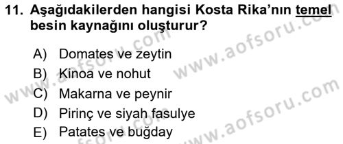 Dünya Mutfakları Dersi 2024 - 2025 Yılı (Vize) Ara Sınav Soruları 11. Soru