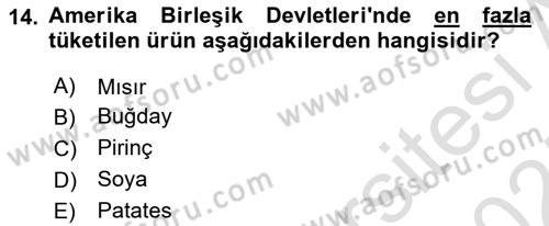 Dünya Mutfakları Dersi 2024 - 2025 Yılı (Vize) Ara Sınav Soruları 14. Soru