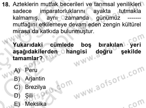 Dünya Mutfakları Dersi 2024 - 2025 Yılı (Vize) Ara Sınav Soruları 18. Soru