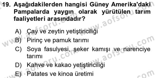 Dünya Mutfakları Dersi 2024 - 2025 Yılı (Vize) Ara Sınav Soruları 19. Soru