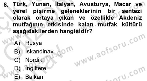 Dünya Mutfakları Dersi 2024 - 2025 Yılı (Vize) Ara Sınav Soruları 8. Soru