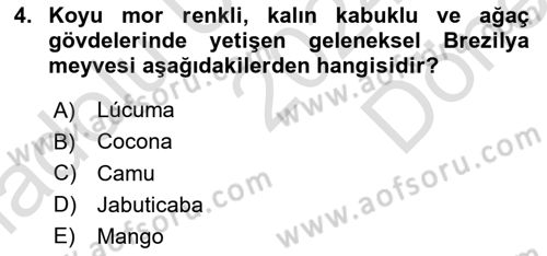 Dünya Mutfakları Dersi 2024 - 2025 Yılı (Final) Dönem Sonu Sınav Soruları 4. Soru