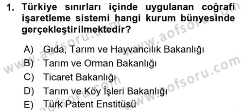 Gastronomide Yeni Akımlar Dersi 2022 - 2023 Yılı Yaz Okulu Sınav Soruları 1. Soru