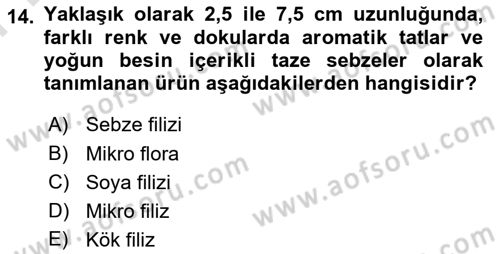 Gastronomide Yeni Akımlar Dersi 2023 - 2024 Yılı (Final) Dönem Sonu Sınav Soruları 14. Soru