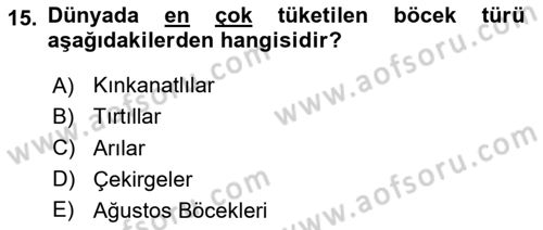 Gastronomide Yeni Akımlar Dersi 2023 - 2024 Yılı (Final) Dönem Sonu Sınav Soruları 15. Soru
