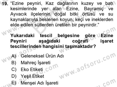 Gastronomide Yeni Akımlar Dersi 2023 - 2024 Yılı (Final) Dönem Sonu Sınav Soruları 19. Soru