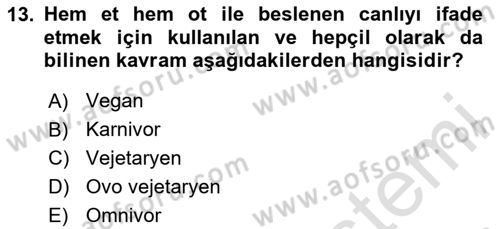 Gastronomide Yeni Akımlar Dersi 2024 - 2025 Yılı (Vize) Ara Sınav Soruları 13. Soru