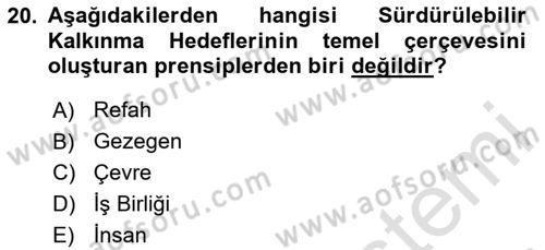 Gastronomide Yeni Akımlar Dersi 2024 - 2025 Yılı (Vize) Ara Sınav Soruları 20. Soru
