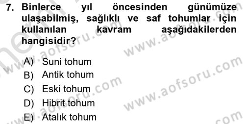 Gastronomide Yeni Akımlar Dersi 2024 - 2025 Yılı (Vize) Ara Sınav Soruları 7. Soru