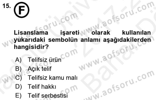 Temel Bilgi Teknolojileri 2 Dersi 2017 - 2018 Yılı (Vize) Ara Sınav Soruları 15. Soru