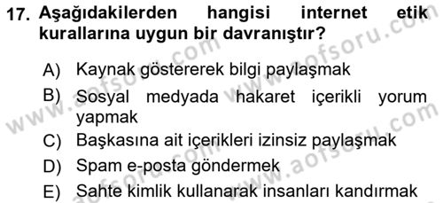 Temel Bilgi Teknolojileri 2 Dersi 2024 - 2025 Yılı (Vize) Ara Sınav Soruları 17. Soru