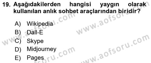 Temel Bilgi Teknolojileri 2 Dersi 2024 - 2025 Yılı (Vize) Ara Sınav Soruları 19. Soru