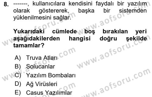 Temel Bilgi Teknolojileri 2 Dersi 2024 - 2025 Yılı (Vize) Ara Sınav Soruları 8. Soru