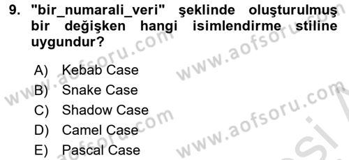 İleri Programlama 1 Dersi 2023 - 2024 Yılı Yaz Okulu Sınav Soruları 9. Soru