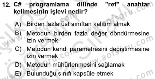 İleri Programlama 1 Dersi 2024 - 2025 Yılı (Vize) Ara Sınav Soruları 12. Soru