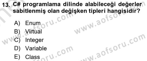 İleri Programlama 1 Dersi 2024 - 2025 Yılı (Vize) Ara Sınav Soruları 13. Soru