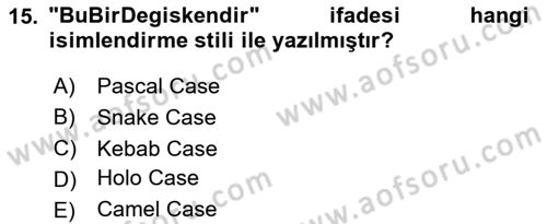 İleri Programlama 1 Dersi 2024 - 2025 Yılı (Vize) Ara Sınav Soruları 15. Soru