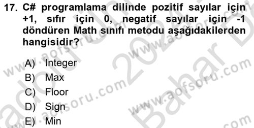 İleri Programlama 1 Dersi 2024 - 2025 Yılı (Vize) Ara Sınav Soruları 17. Soru