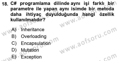 İleri Programlama 1 Dersi 2024 - 2025 Yılı (Vize) Ara Sınav Soruları 18. Soru