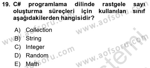 İleri Programlama 1 Dersi 2024 - 2025 Yılı (Vize) Ara Sınav Soruları 19. Soru
