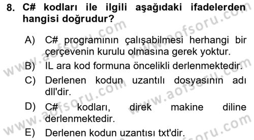 İleri Programlama 1 Dersi 2024 - 2025 Yılı (Vize) Ara Sınav Soruları 8. Soru