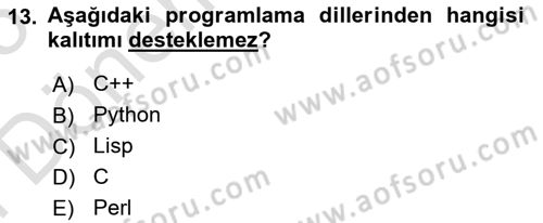İleri Programlama 1 Dersi 2024 - 2025 Yılı (Final) Dönem Sonu Sınav Soruları 13. Soru