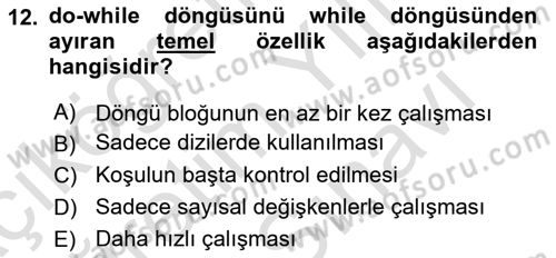 İleri Programlama 1 Dersi 2025 - 2026 Yılı (Vize) Ara Sınav Soruları 12. Soru