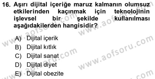 Dijital Dönüşüm Dersi 2024 - 2025 Yılı (Vize) Ara Sınavı 16. Soru