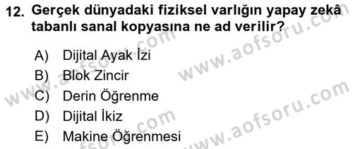 Dijital Dönüşüm Dersi 2024 - 2025 Yılı (Final) Dönem Sonu Sınav Soruları 12. Soru