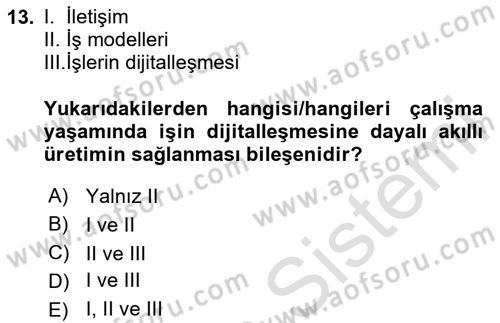 Dijital Dönüşüm Dersi 2024 - 2025 Yılı (Final) Dönem Sonu Sınav Soruları 13. Soru