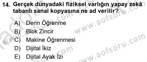 Dijital Dönüşüm Dersi 2024 - 2025 Yılı Yaz Okulu Sınav Soruları 14. Soru