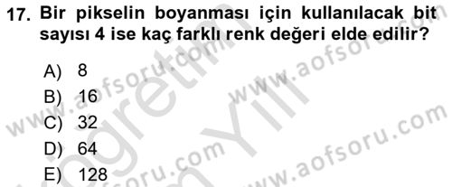 Dijital Dönüşüm Dersi 2024 - 2025 Yılı Yaz Okulu Sınav Soruları 17. Soru