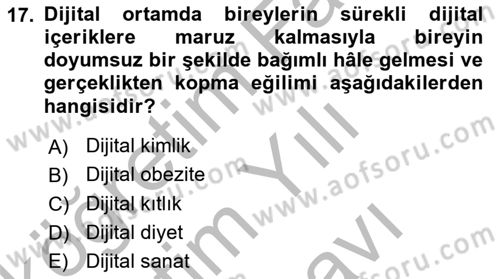 Dijital Dönüşüm Dersi 2025 - 2026 Yılı (Vize) Ara Sınav Soruları 17. Soru