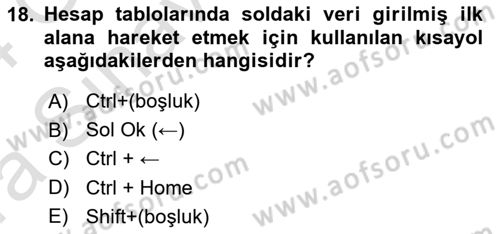 Temel Bilgi Teknolojileri Dersi Ara Sınavı Deneme Sınav Soruları 18. Soru