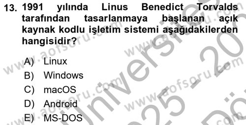 Temel Bilgi Teknolojileri Dersi 2025 - 2026 Yılı (Vize) Ara Sınav Soruları 13. Soru