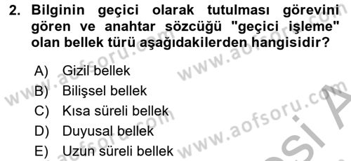 Temel Bilgi Teknolojileri Dersi 2025 - 2026 Yılı (Vize) Ara Sınav Soruları 2. Soru