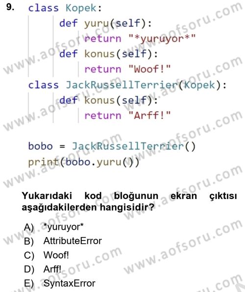 Programlama 2 Dersi 2022 - 2023 Yılı (Final) Dönem Sonu Sınav Soruları 9. Soru