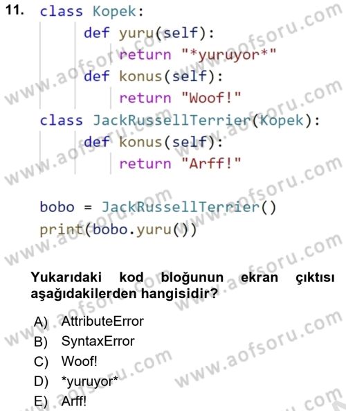 Programlama 2 Dersi 2023 - 2024 Yılı (Final) Dönem Sonu Sınav Soruları 11. Soru