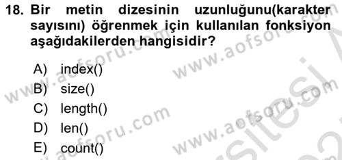 Programlama 2 Dersi 2024 - 2025 Yılı (Vize) Ara Sınav Soruları 18. Soru