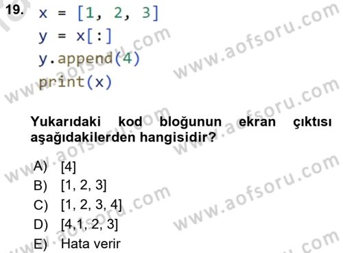Programlama 2 Dersi 2024 - 2025 Yılı (Vize) Ara Sınav Soruları 19. Soru